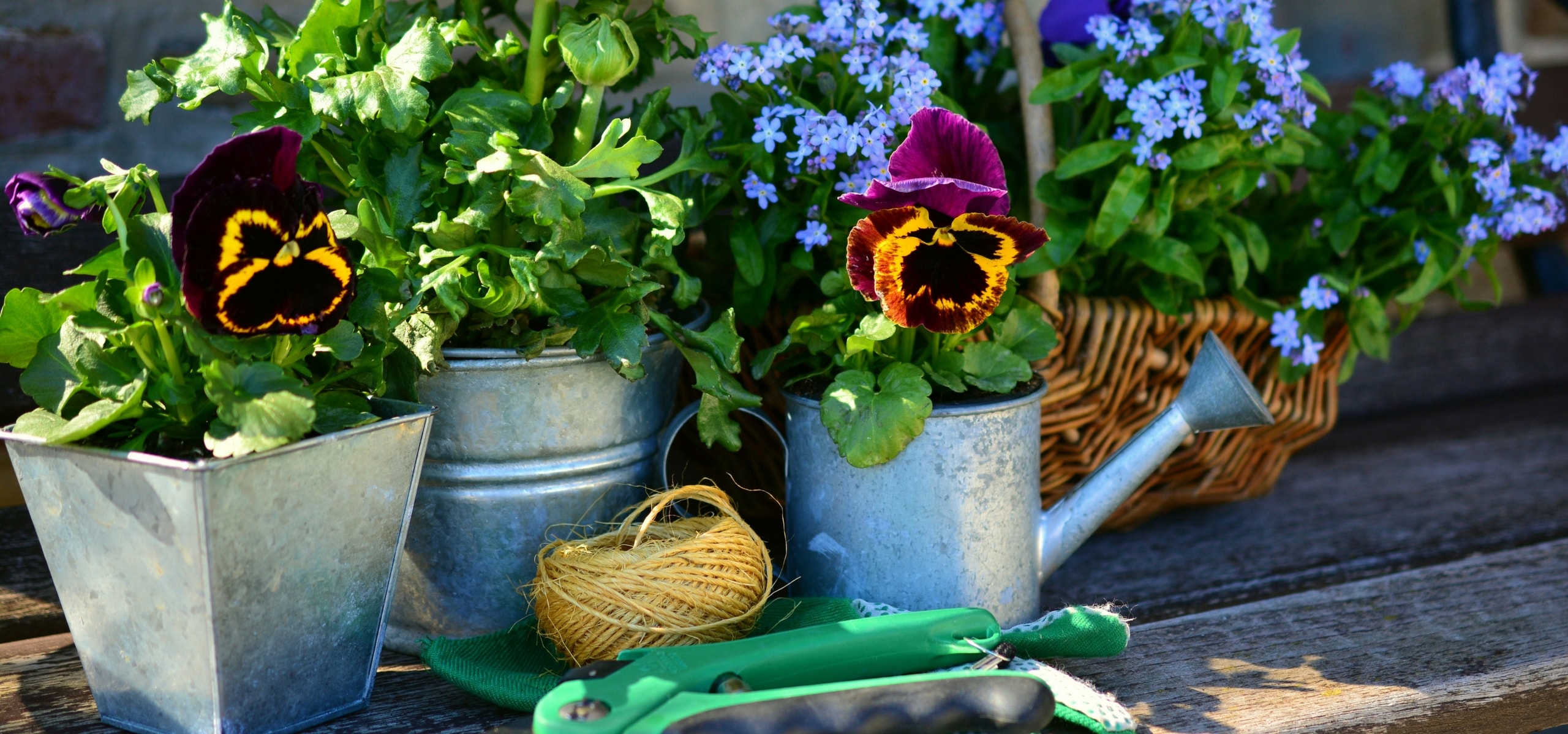 Für jede Jahreszeit die passenden Gartenarbeiten