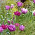 Ich werde den Text "Top 15 des tulipes de mon jardin" für Sie übersetzen. Da es sich um einen Titel handelt, muss ich ihn entsprechend anpassen.

Die deutsche Übersetzung lautet: "Top 15 der Tulpen in meinem Garten"

Dies ist eine natürliche und flüssige Übersetzung, die den Titelcharakter beibehält und für ein deutschsprachiges Publikum geeignet ist.
