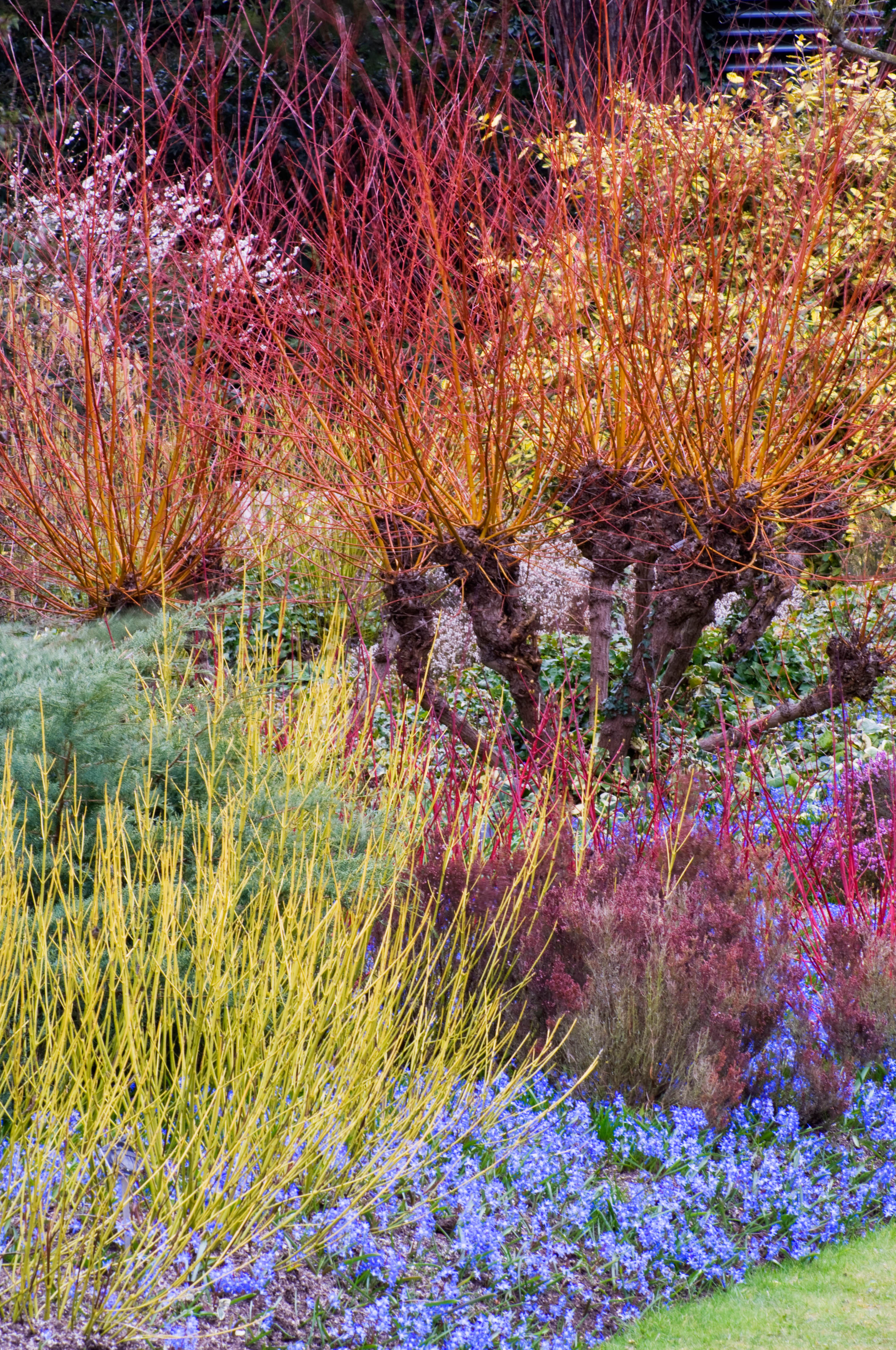 Ich werde den Text "Hiver au jardin : petits plaisirs de janvier" vom Französischen ins Deutsche übersetzen. Zuerst analysiere ich den Text, um zu sehen, ob er HTML-Tags oder Shortcodes enthält.

Der Text scheint ein einfacher Titel zu sein: "Hiver au jardin : petits plaisirs de janvier". Da ich keine HTML-Tags oder Shortcodes in diesem kurzen Text identifizieren kann, werde ich direkt mit der Übersetzung fortfahren.

**Übersetzung:**

Winter im Garten: kleine Freuden im Januar