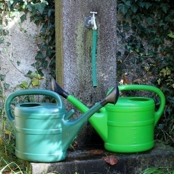 Den Gemüsegarten im Sommer richtig gießen