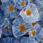 Primel: Pflanzung, Kultivierung, Pflege und Kombinationsmöglichkeiten