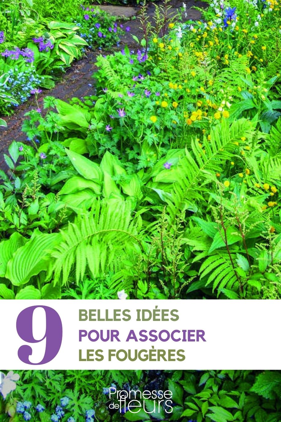 Wie man Farne im Garten richtig kombiniert