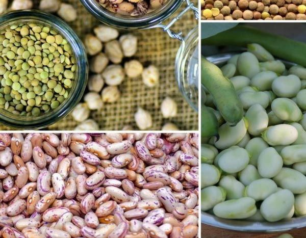 Ich werde den Text "5 bonnes raisons de cultiver les légumineuses" vom Französischen ins Deutsche übersetzen. Zuerst muss ich jedoch den Text analysieren, um festzustellen, ob er HTML-Tags oder Shortcodes enthält.

Der Text scheint ein einfacher Titel zu sein: "5 bonnes raisons de cultiver les légumineuses". Ich sehe keine HTML-Tags oder Shortcodes in diesem Text. Daher kann ich direkt mit der Übersetzung fortfahren.

Die deutsche Übersetzung wäre: "5 gute Gründe, Hülsenfrüchte anzubauen".

Da keine HTML-Tags oder Shortcodes vorhanden sind, muss ich keine Validierungsfunktionen aufrufen.

Hier ist die vollständige Übersetzung:

5 gute Gründe, Hülsenfrüchte anzubauen