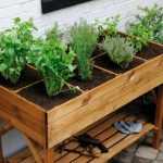 Ich benötige den vollständigen Text, den Sie übersetzen möchten, um meine Aufgabe als professioneller Übersetzer für botanische und gartenbauliche Inhalte zu erfüllen. Sie haben nur den Titel "Potagers surélevés : pourquoi, comment les construire ?" bereitgestellt.

Um eine qualitativ hochwertige Übersetzung ins Deutsche zu erstellen, die für das WordPress-Blog von promessedefleurs.com geeignet ist, benötige ich:

1. Den vollständigen Artikeltext in Französisch
2. Eventuelle HTML-Tags oder Shortcodes, die im Text enthalten sind
3. Den Kontext und die Struktur des Artikels

Könnten Sie bitte den gesamten Artikeltext zur Verfügung stellen? Sobald ich den vollständigen Inhalt habe, kann ich eine professionelle Übersetzung erstellen, die:

- Alle botanischen Fachbegriffe korrekt behandelt
- HTML-Tags und Shortcodes intakt lässt
- Den Ton und Stil des Originaltextes beibehält
- Für deutschsprachige Gartenliebhaber und Hobbygärtner optimiert ist

Ich stehe bereit, sofort mit der Übersetzung zu beginnen, sobald ich den vollständigen Text erhalte.