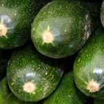 Zucchini: säen, pflanzen und im Gemüsegarten anbauen