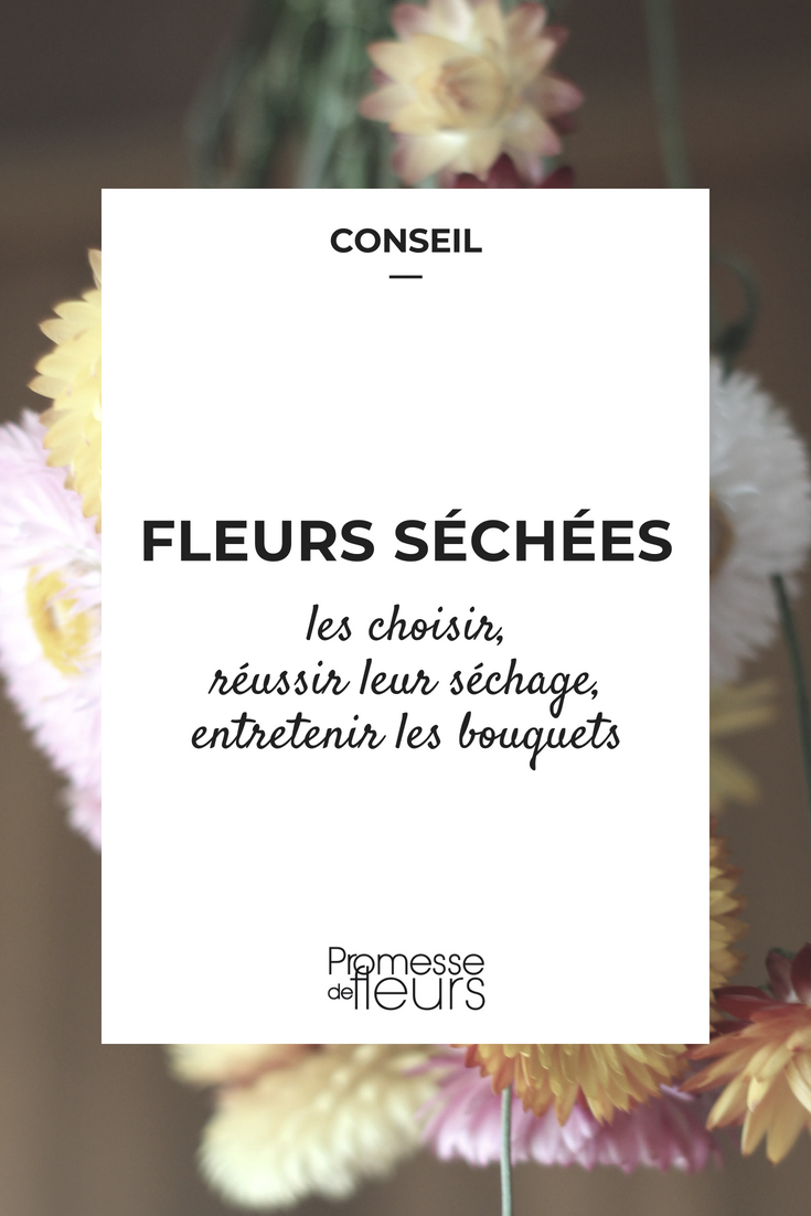 getrocknete Blumen: Auswahl und erfolgreiches Trocknen