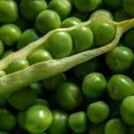 Erbsen und Erbsen: Im Gemüsegarten säen, anbauen und ernten