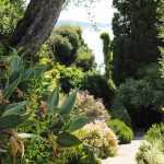 Mediterraner Garten: 10 charakteristische Pflanzen
