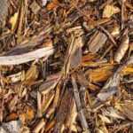 BRF (zerkleinertes Zweigholz): Was ist das und wie wird es im Garten genutzt?