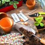 5 Wege zu kostenlosen Pflanzen