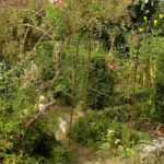 Pfarrgarten gestalten: Grundprinzipien
