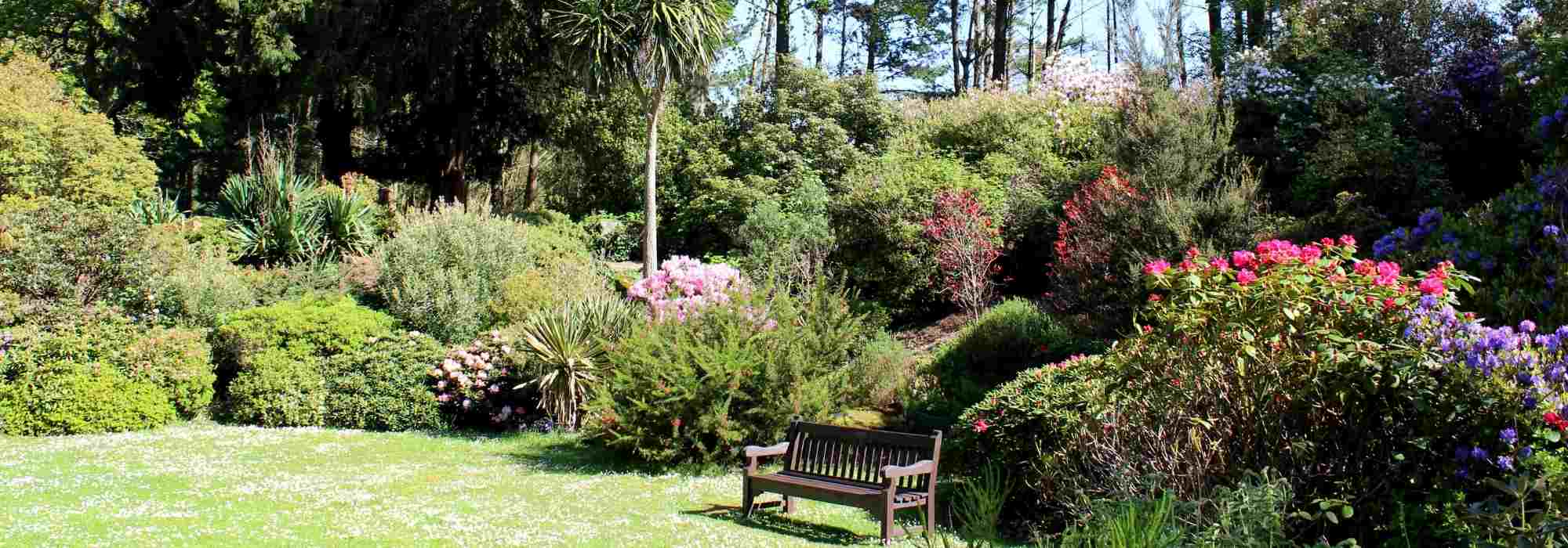Was in einen vollen Garten pflanzen?