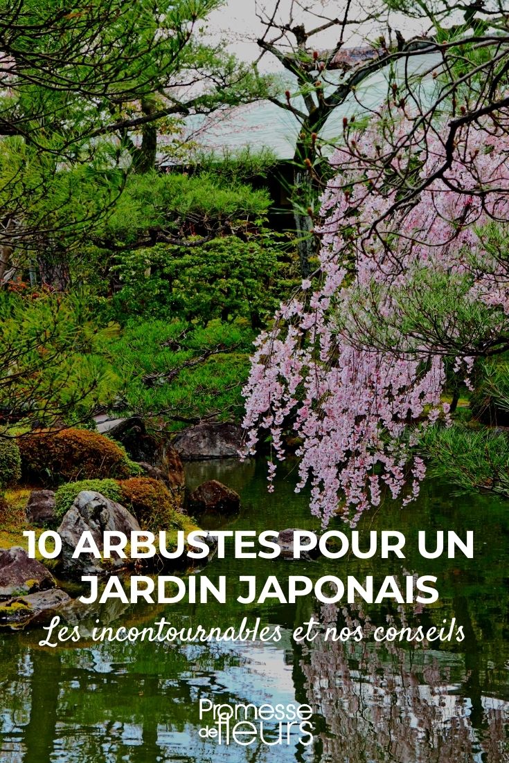 10 Sträucher für den japanischen Garten
