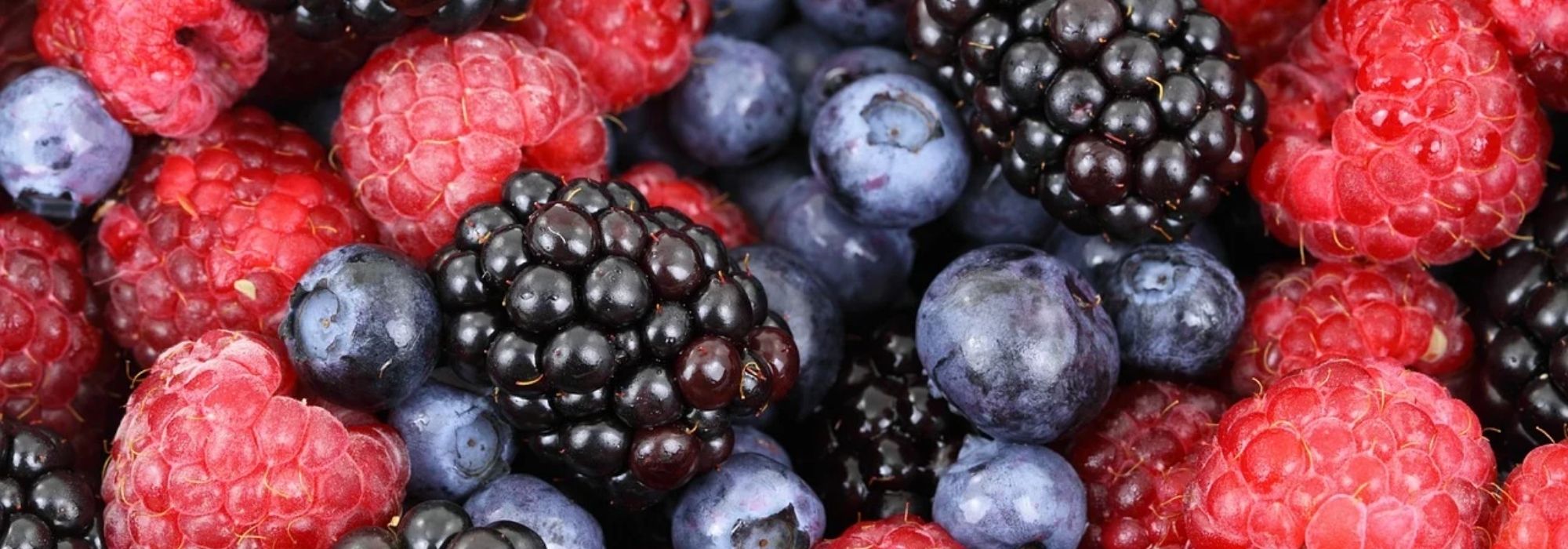 5 Beeren für Anfänger