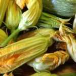 Zucchiniblüten-Beignets zubereiten