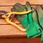 Gartenhandschuhe auswählen?