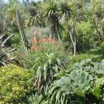 Exotischer Garten: Tipps zur Gestaltung