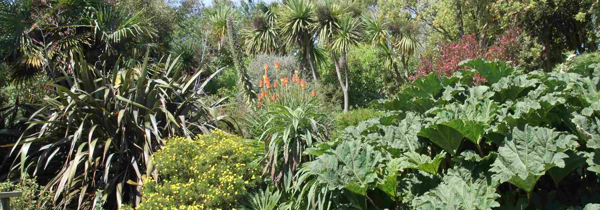 Exotischer Garten: Tipps zur Gestaltung