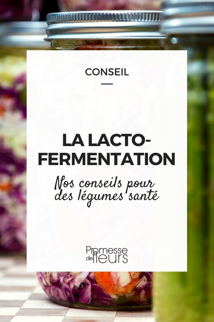 Die Lacto-Fermentation von Gemüse aus dem Garten