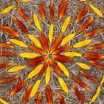 Land Art – was ist das?