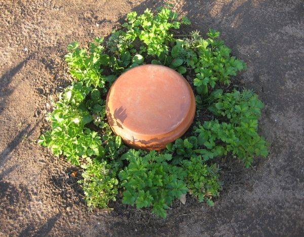 Olla selber bauen: Garten bewässern