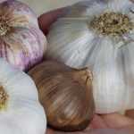 Knoblauch: beste Sorten