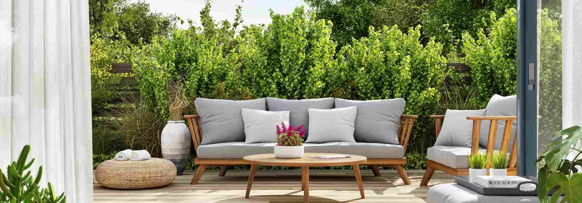 Windschutz für die Terrasse: passende Pflanzen!