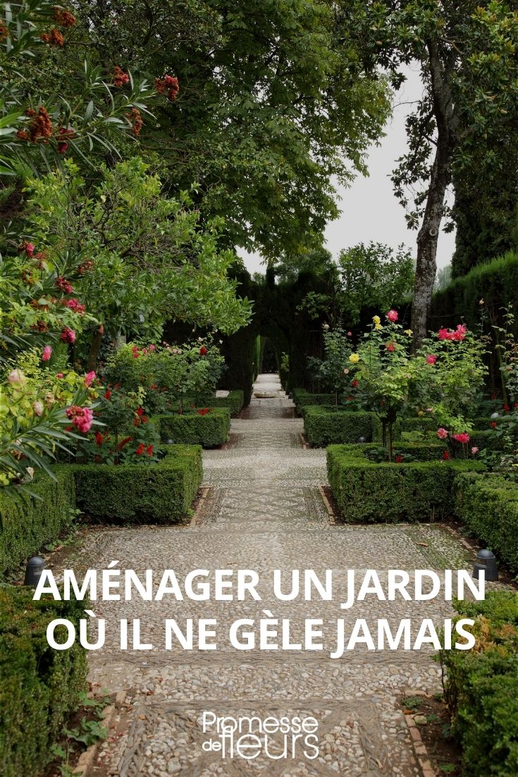 einen Garten gestalten, in dem es nie friert