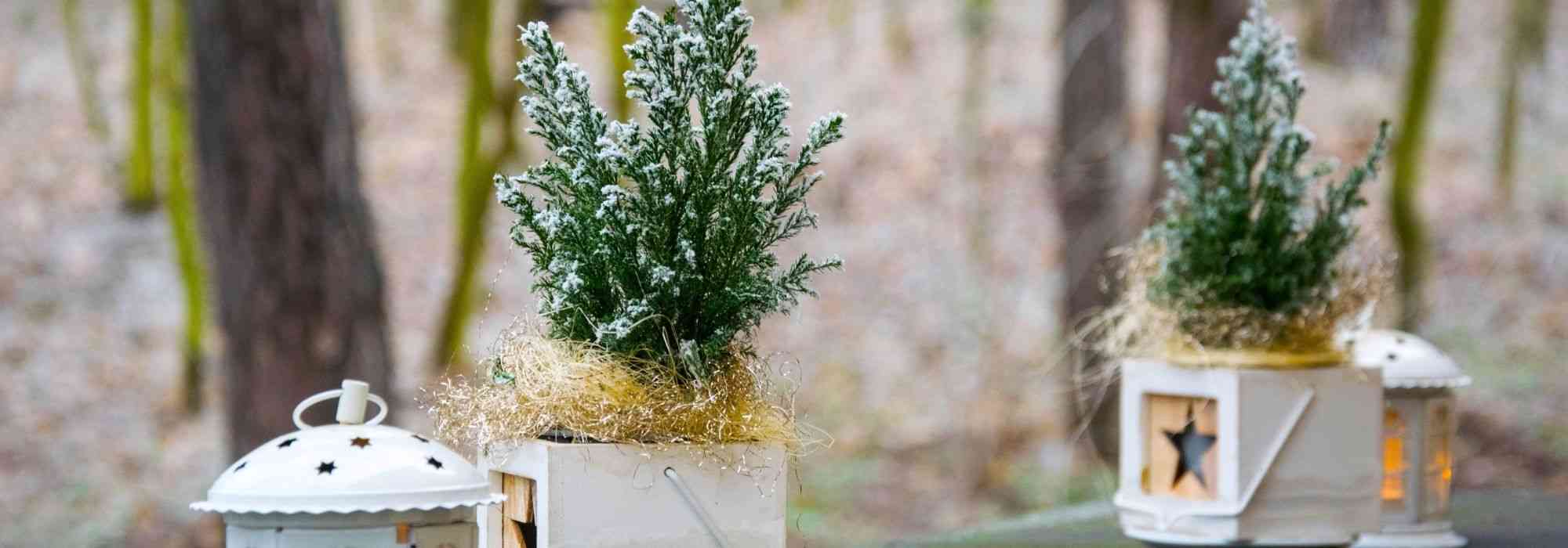 Eine schöne Winterterrasse