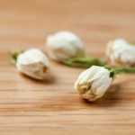 Jasminblüten trocknen