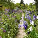 Blauen Garten gestalten