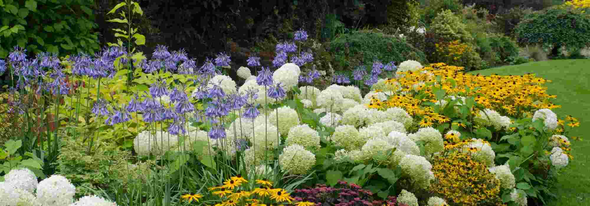 Weiße Blumen kombinieren