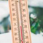 Spätfröste, kalter Frühling: Was tun im Garten?