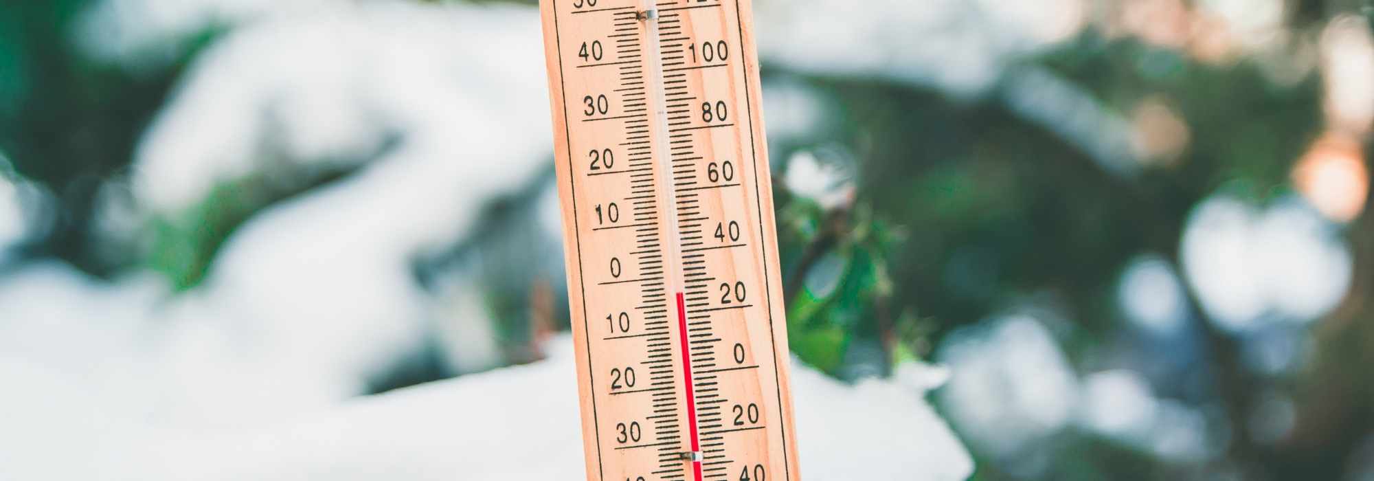 Spätfröste, kalter Frühling: Was tun im Garten?