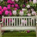 9 Tipps vom Landschaftsgärtner für einen Rosengarten