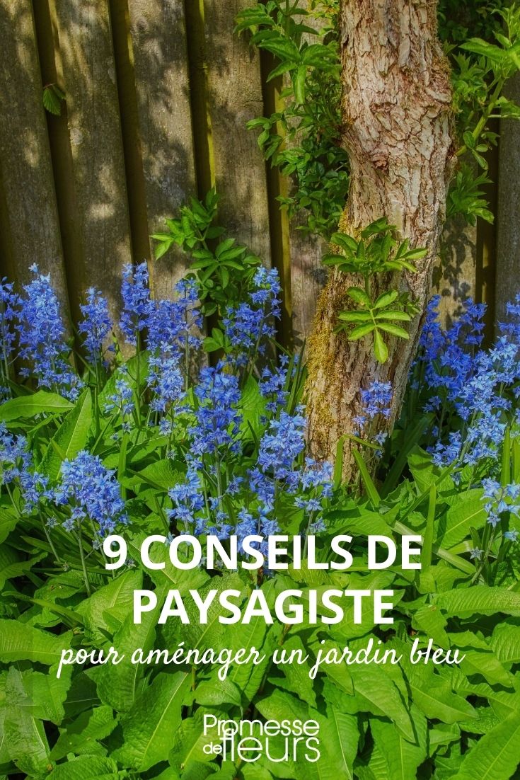 einen blauen Garten gestalten