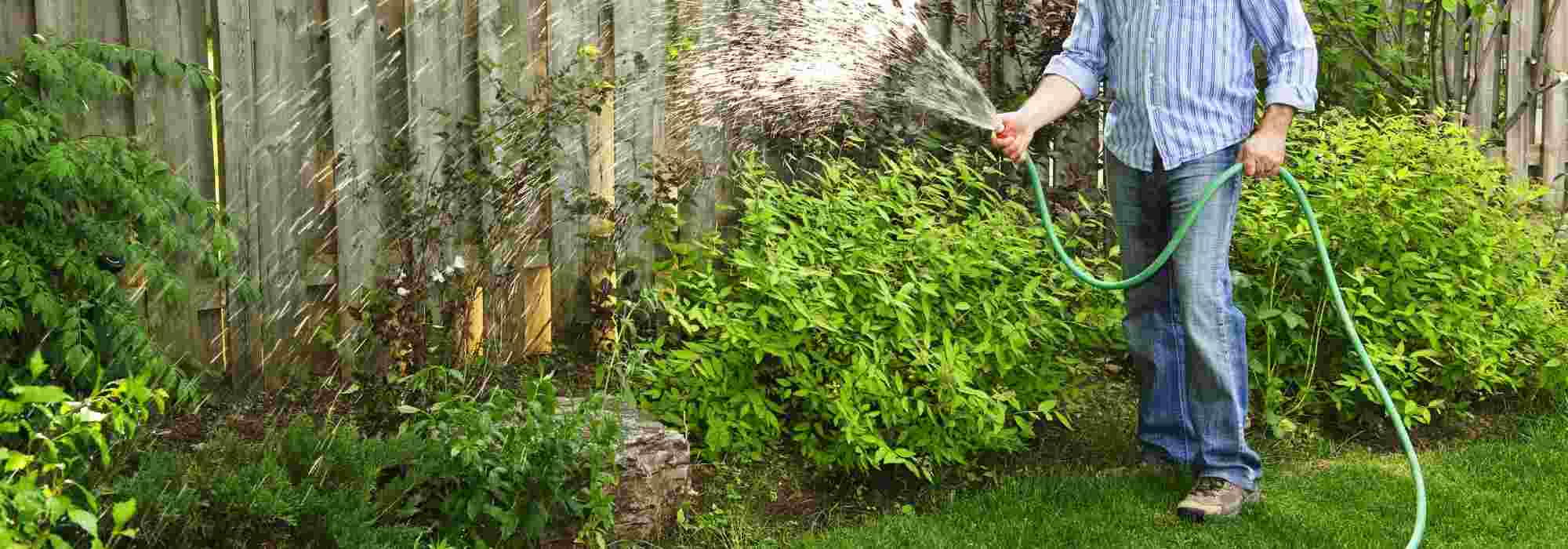 Bodenfeuchte im Garten bestimmen?
