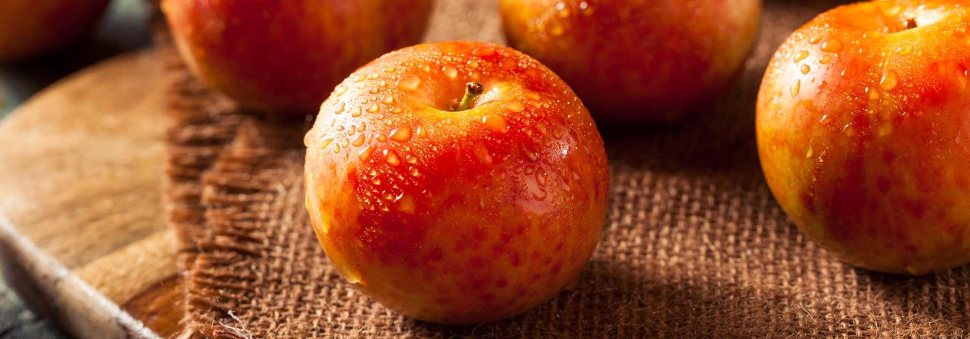 Pluot: Anbau, Pflege, Ernte