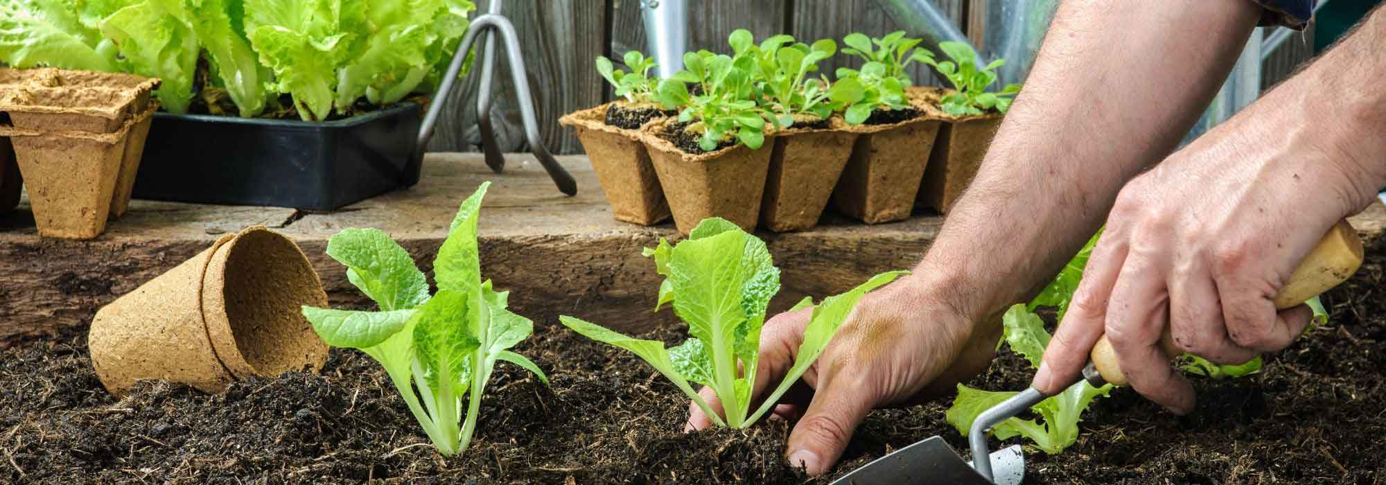 Gartenarbeiten im April