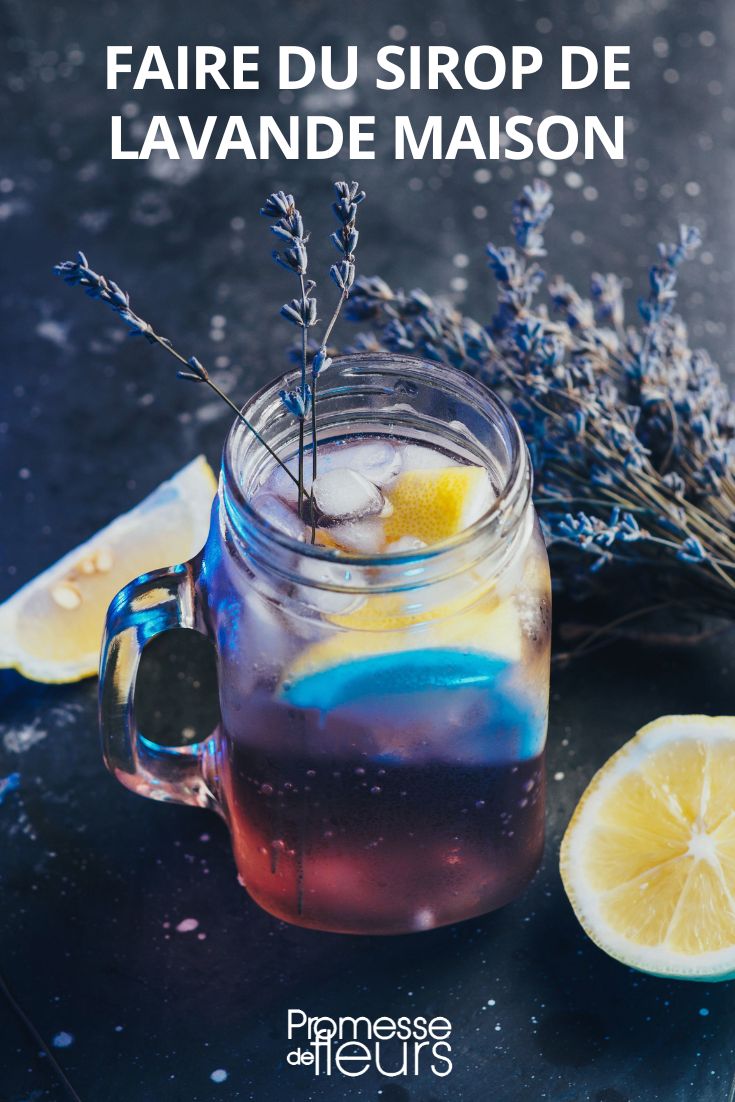Lavendelsirup Rezept