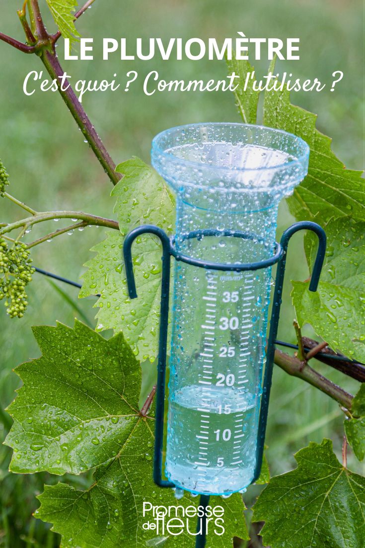 Wie man ein Regenmesser benutzt