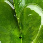 Wasser: kostbare, empfindliche Ressource