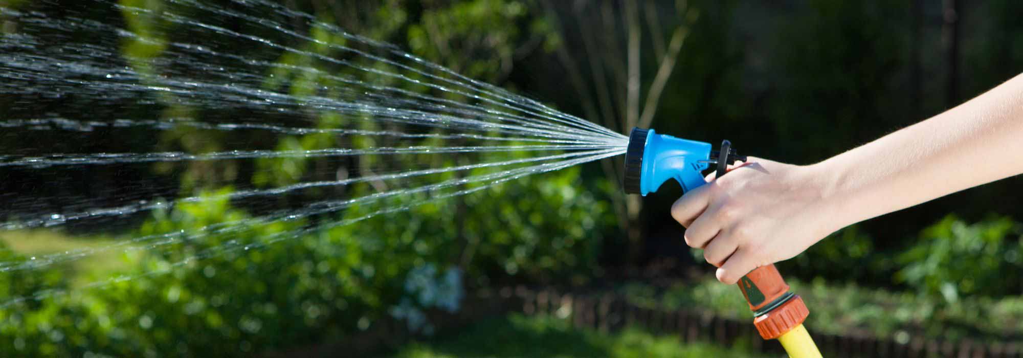 Garten gießen bei Trockenheit: Was sagt das Gesetz?