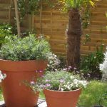 Töpfe auf der Terrasse anordnen?
