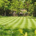 Rasen im Sommer mähen: Wann und wie?