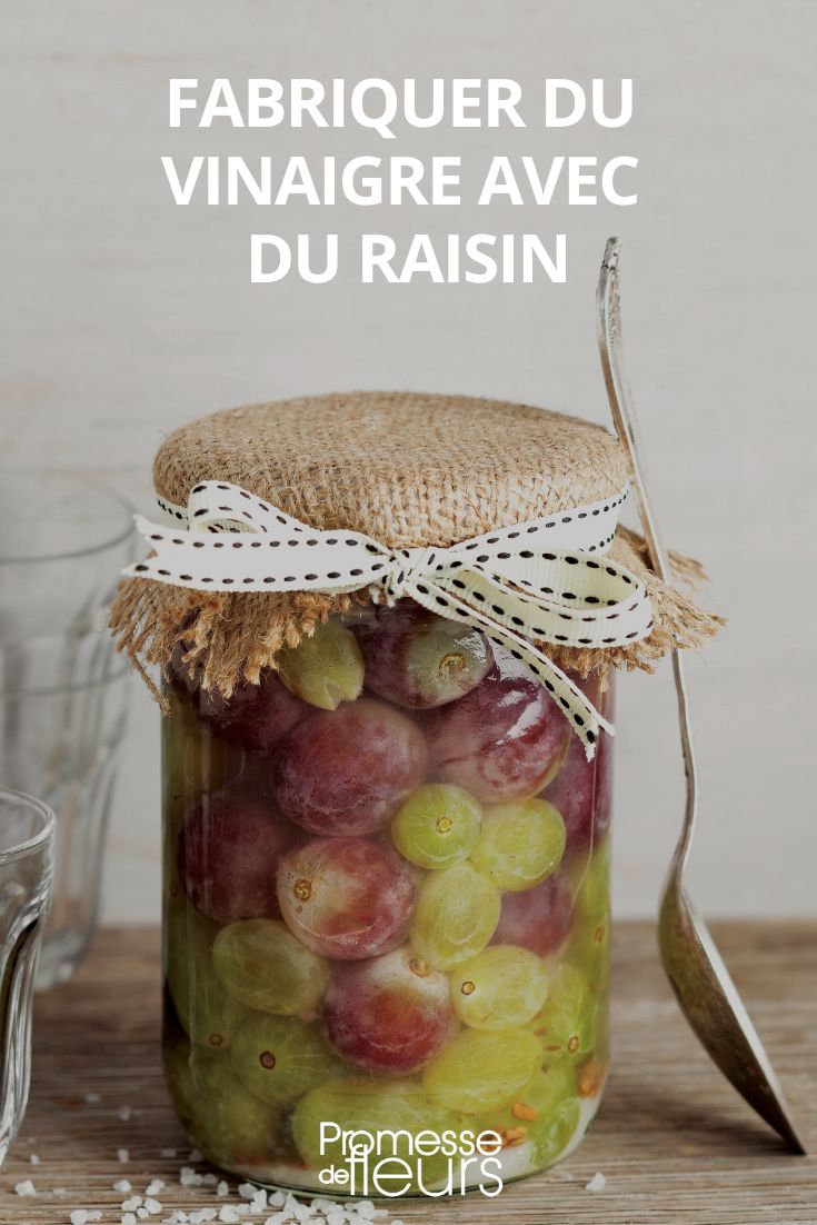 Herstellung von Traubenessig