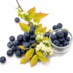 Heidelbeere 'Yello Berryblue'®