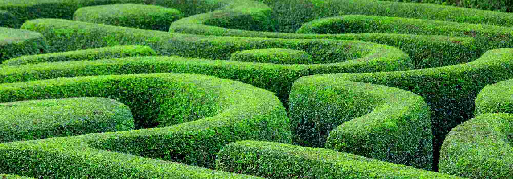 Gartenlabyrinth anlegen