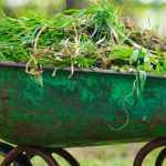 Zero Waste: Stauden- und Schnittblumenreste nutzen