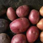 Originelle, bunte Kartoffeln